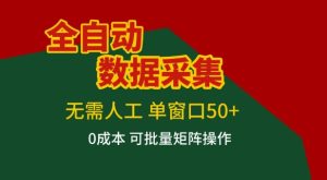 全自动数据采集项目，无需人工，单窗口可达50+收益，操作简单无难度，一个人也能轻松实现矩阵【揭秘】-就爱副业网