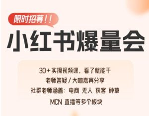 戴小胖小红书爆量会线上课2026年2月2(价值4980元)_-就爱副业网