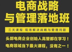 蒋晖电商战略与管理落地班2026年2月份杭州线下课(价值9800元)_-就爱副业网