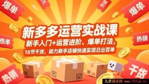 (17342期)拼多多新手店铺运营实操课,从0起步到爆单全流程教学,16节硬核干货,助力新店快速达成日出百单业绩-就爱副业网