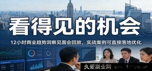 2026必看的商业风口！12小时趋势洞察闭门会回放 可直接落地的实战干货案例-就爱副业网