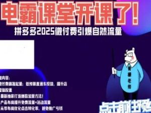 电霸学堂2026年拼多多电商运营教程冲刺双十一（价值4980元）_-就爱副业网
