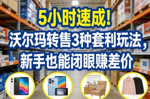 5小时速成！沃尔玛转售3种套利玩法，新手也能闭眼賺差价-就爱副业网