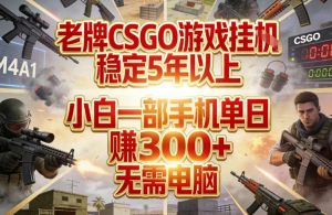 老牌CSGO游戏挂G，稳定5年以上，小白一部手机单日賺3张+，无需电脑【揭秘】-就爱副业网