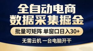 独家电商数据全自动采集项目，批量可矩阵，单窗口轻松日入3张+【揭秘】-就爱副业网